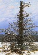 Caspar David Friedrich Oak Tree in the Snow (mk10) oil painting